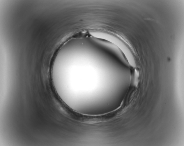 X0000085790485200704091433