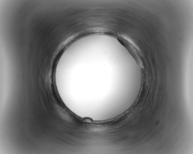X0000085790486200704091433