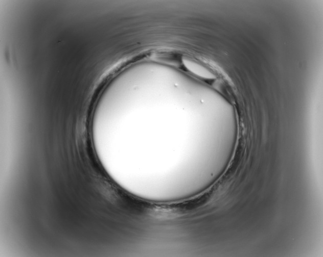 X0000085790487200704091433
