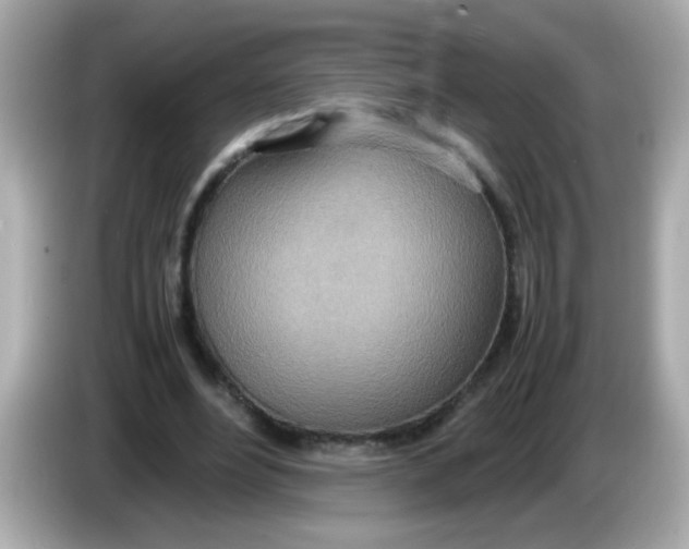 X0000085790488200704091433