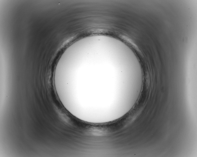 X0000085790490200704091433