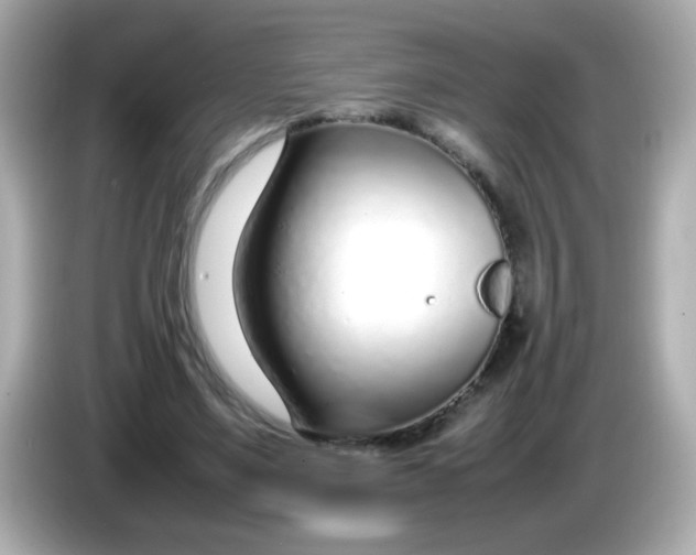 X0000085790491200704091433