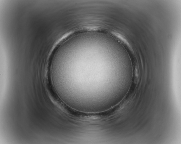 X0000085790492200704091433