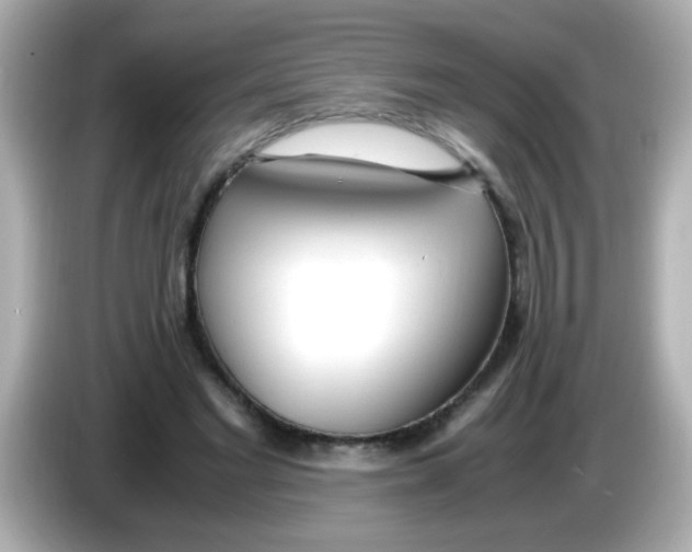 X0000085790493200704091433