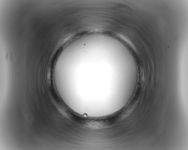 X0000085790494200704091433