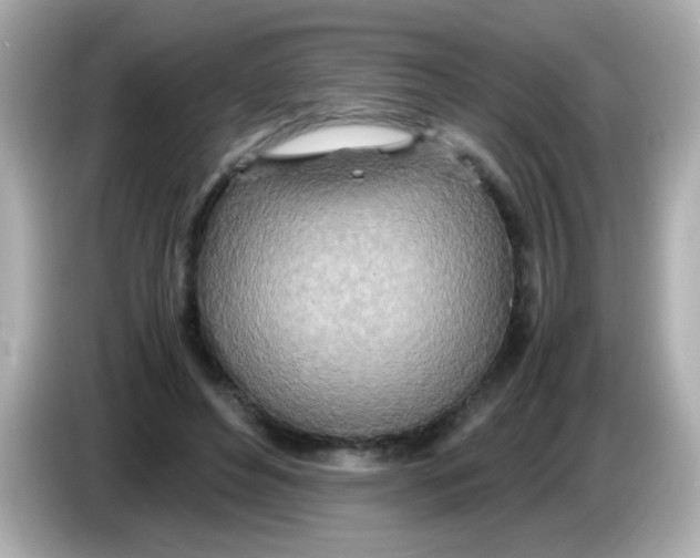 X0000085790496200704091433