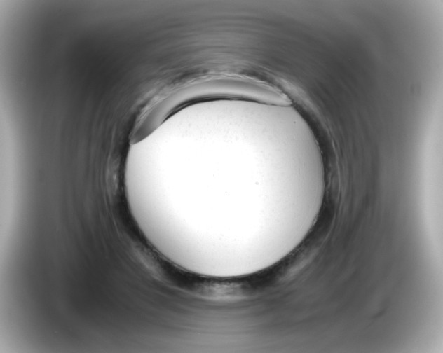 X0000085790501200704091433