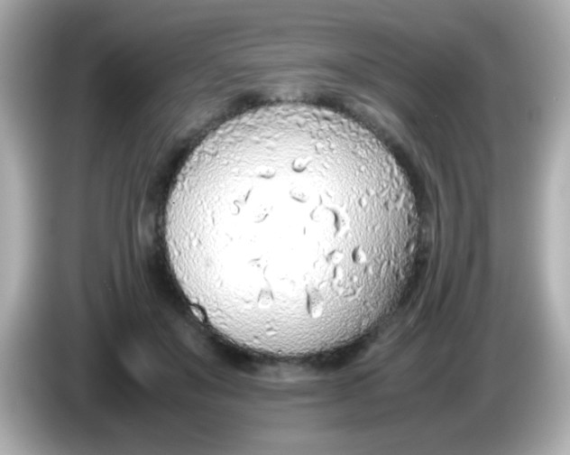 X0000085790503200704091433