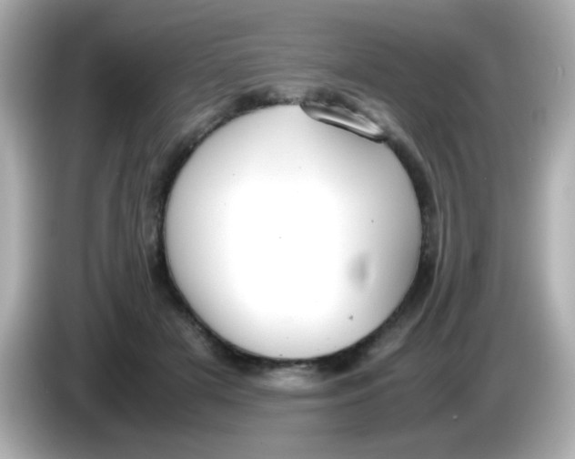 X0000085790505200704091433