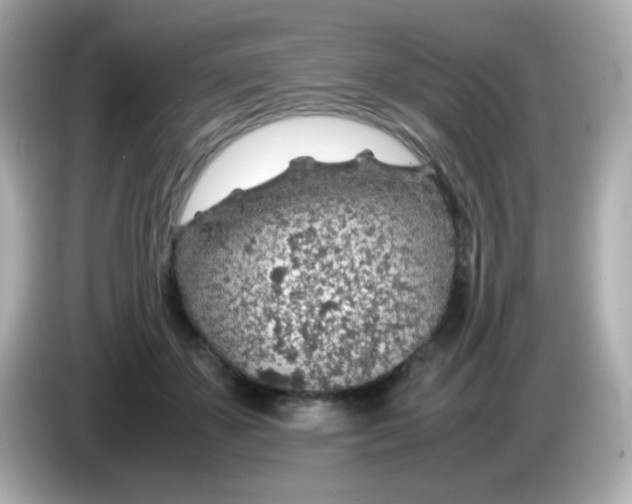 X0000085790507200704091433