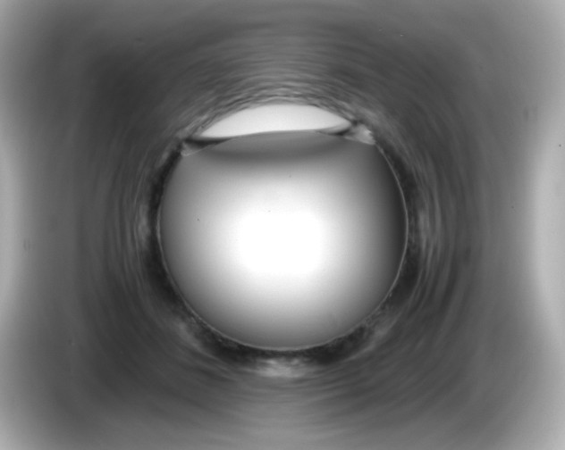 X0000085790508200704091433