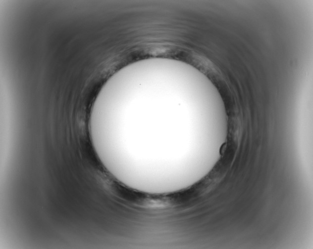 X0000085790510200704091433
