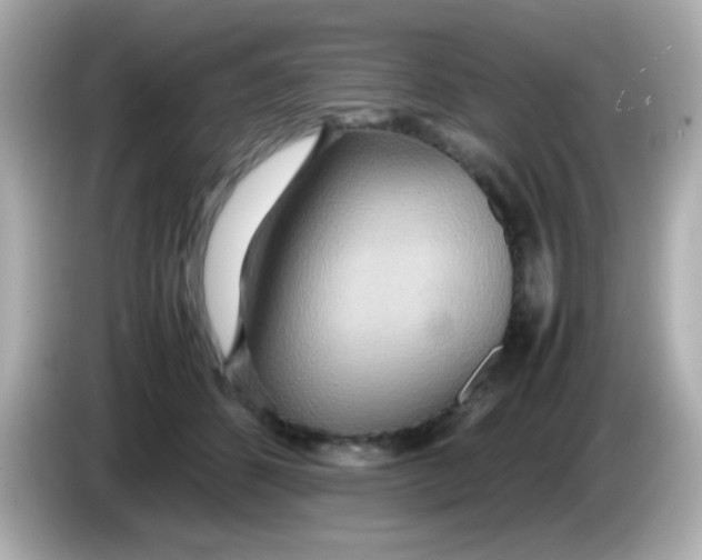 X0000085790512200704091433