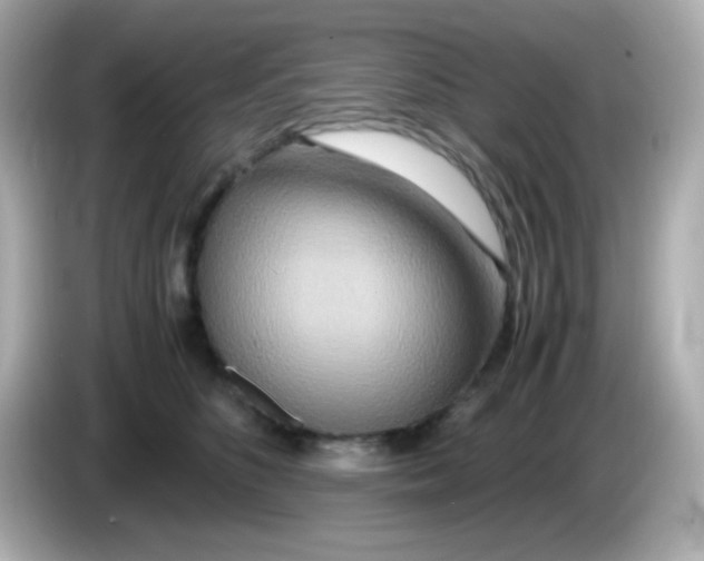 X0000085790516200704091433