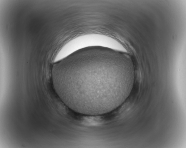 X0000085790517200704091433