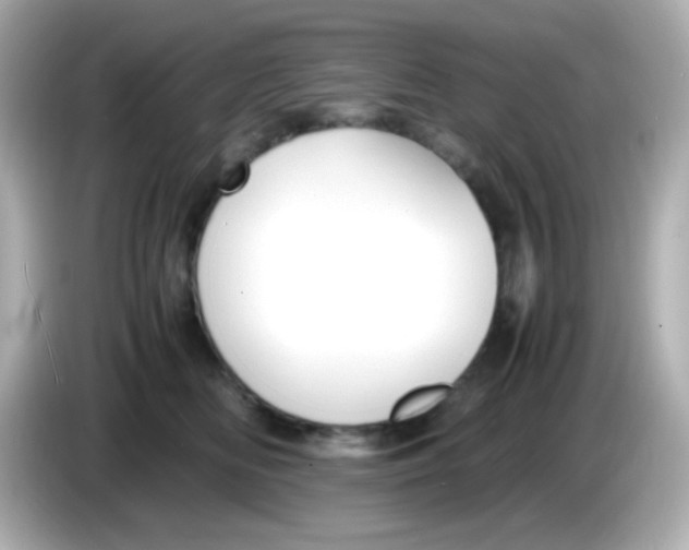 X0000085790518200704091433