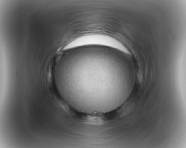 X0000085790520200704091433