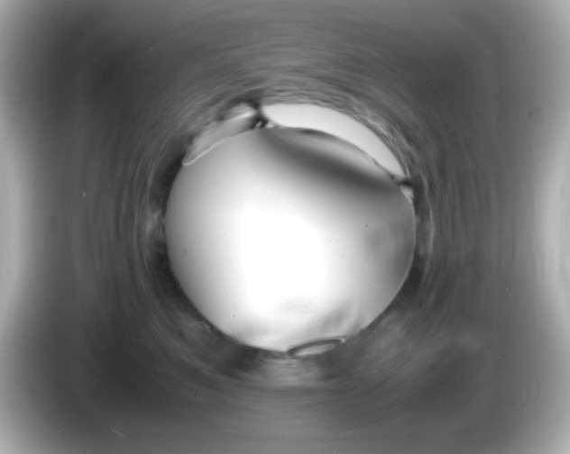 X0000085790521200704091433