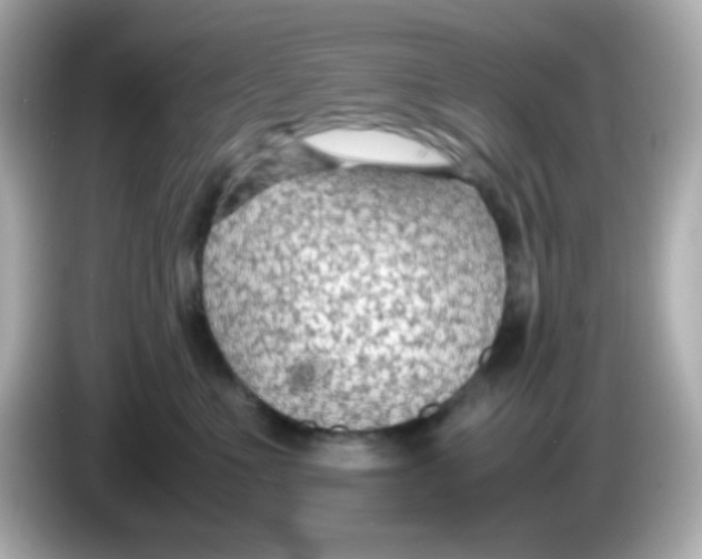 X0000085790523200704091433