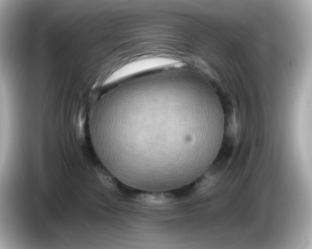 X0000085790524200704091433