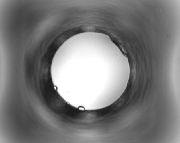 X0000085790525200704091433