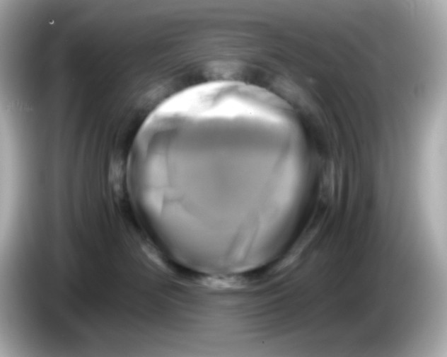 X0000085790526200704091433