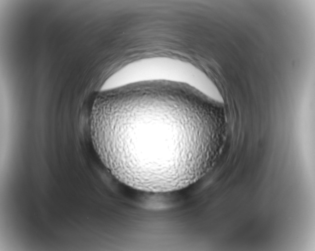 X0000085790527200704091433