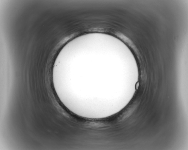 X0000085790529200704091432
