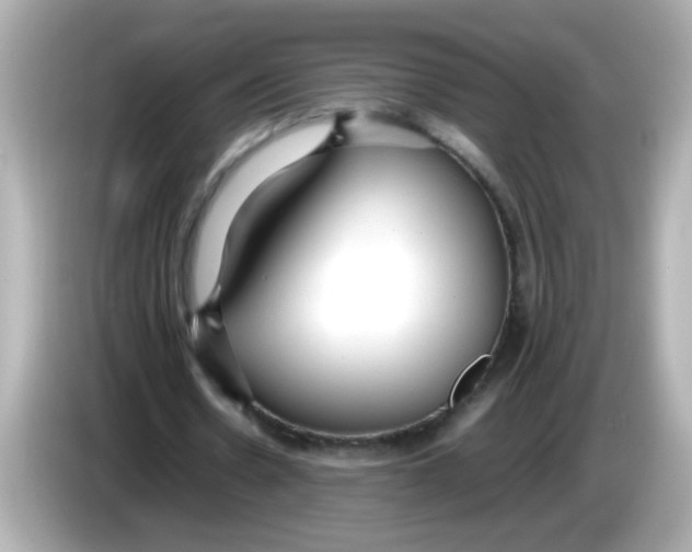 X0000085790530200704091432