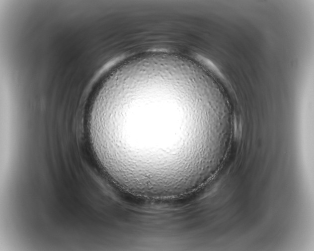 X0000085790531200704091432