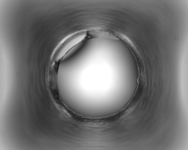X0000085790532200704091432