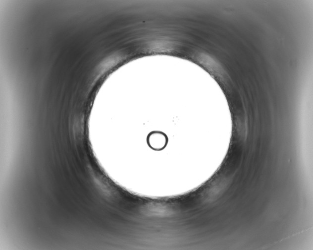 X0000085790534200704091432