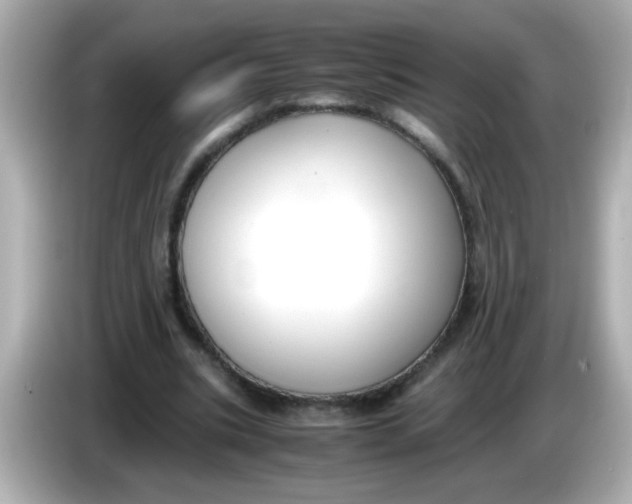 X0000085790535200704091432