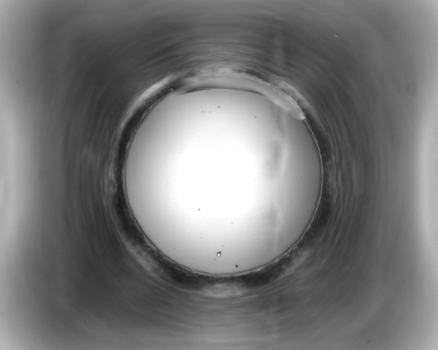 X0000085790536200704091432