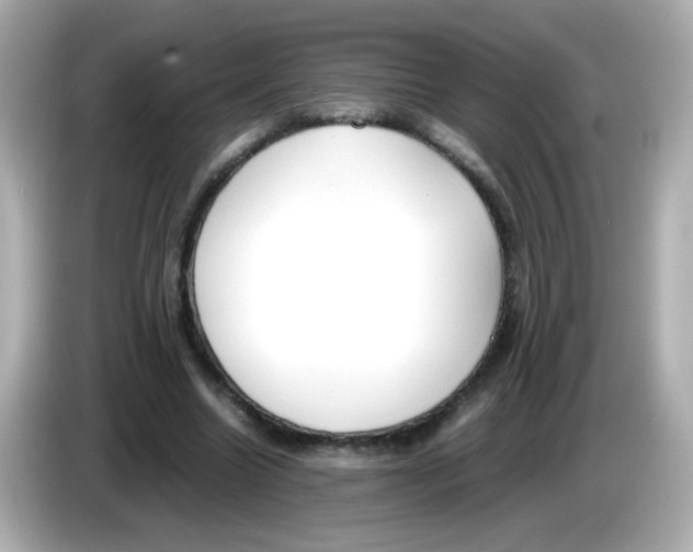 X0000085790538200704091432