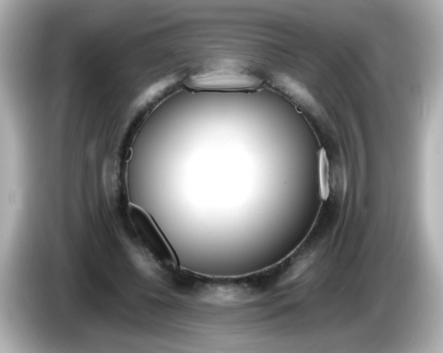 X0000085790540200704091432
