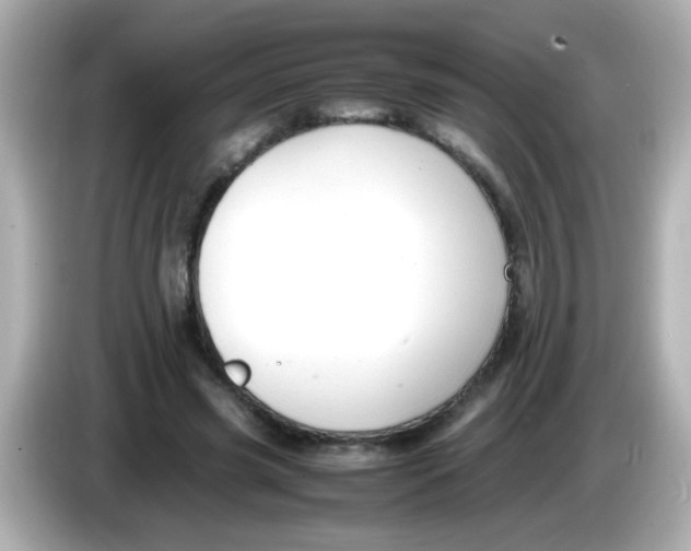 X0000085790541200704091432
