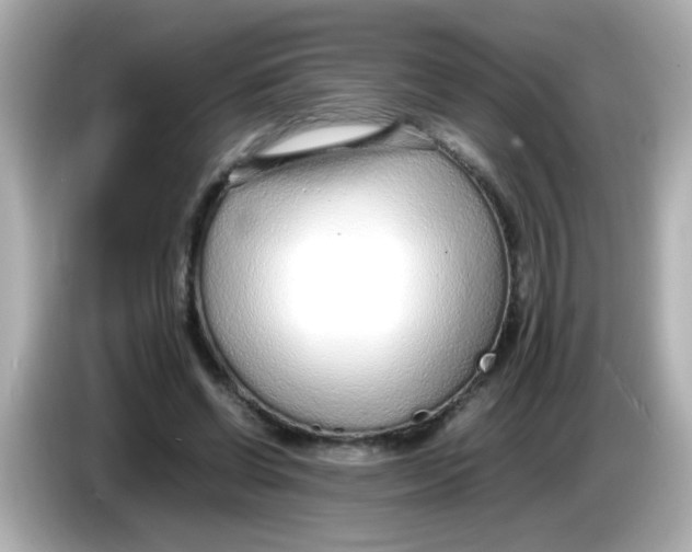X0000085790542200704091432