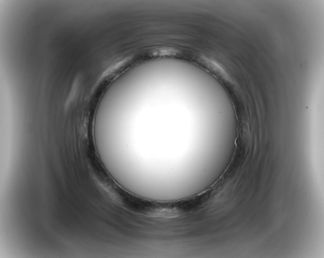 X0000085790543200704091432