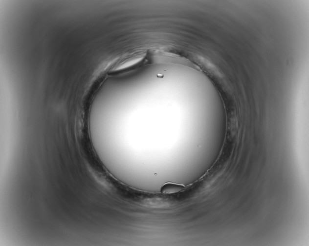 X0000085790544200704091432