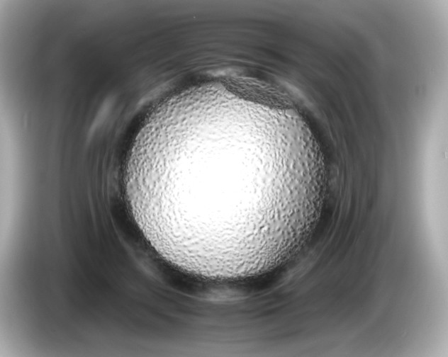 X0000085790547200704091432