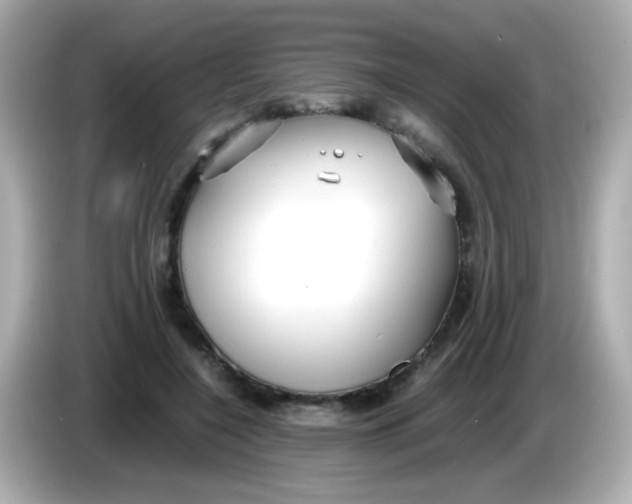 X0000085790548200704091432