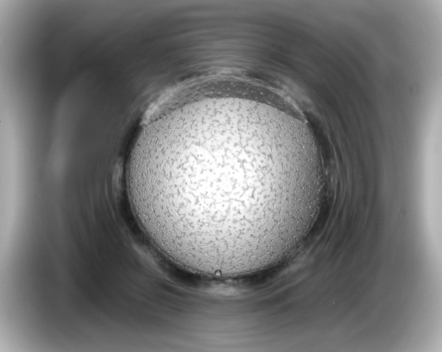 X0000085790550200704091432