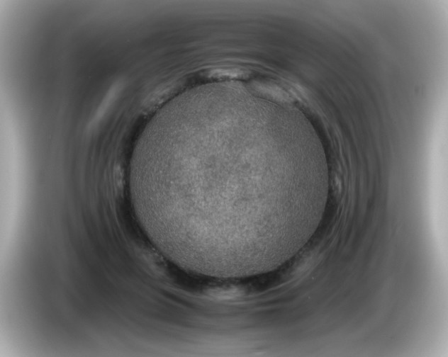 X0000085790551200704091432