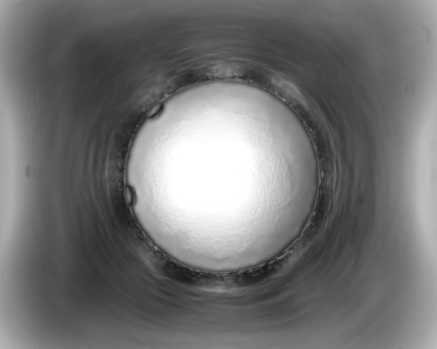 X0000085790553200704091432