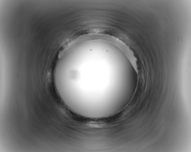 X0000085790556200704091432
