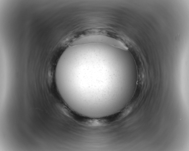 X0000085790558200704091432