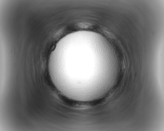 X0000085790559200704091432