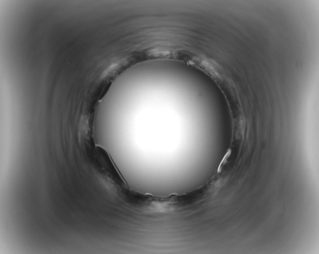 X0000085790560200704091432