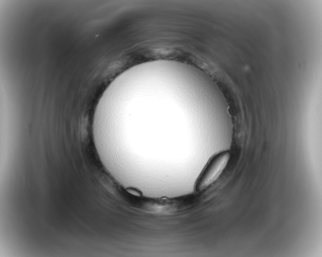 X0000085790563200704091432